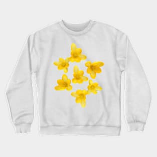 Yellow Crocus Star Crewneck Sweatshirt